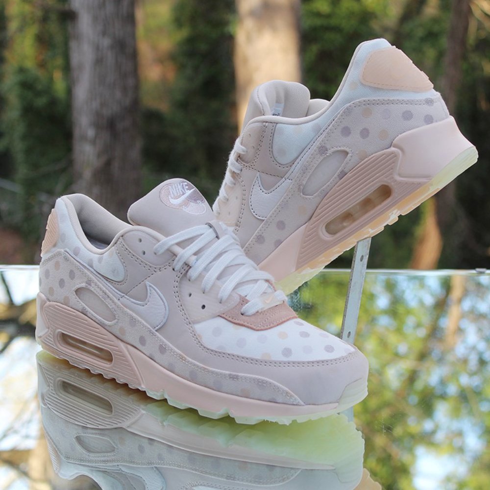 Nike Air Max 90 NRG Venn Diagram
